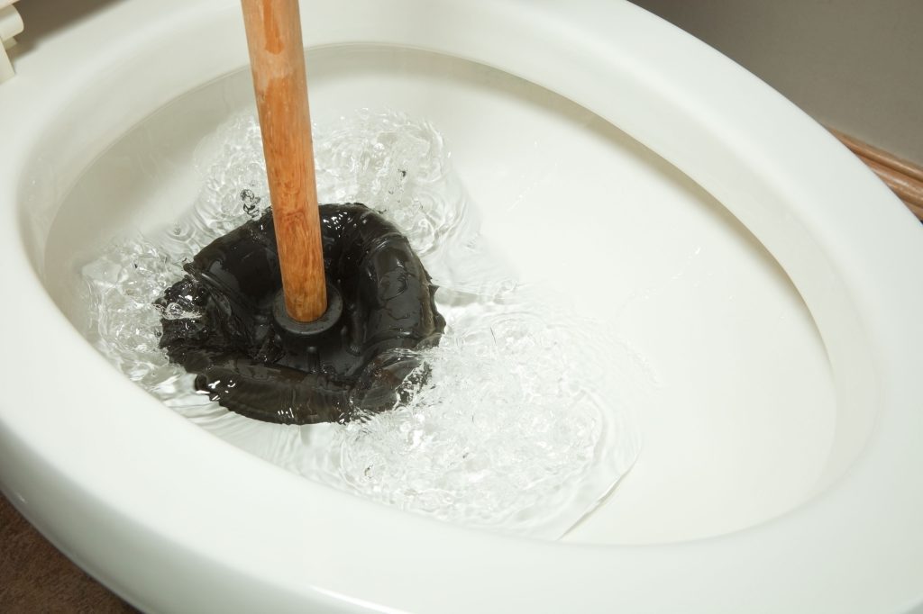 Clogged Toilet